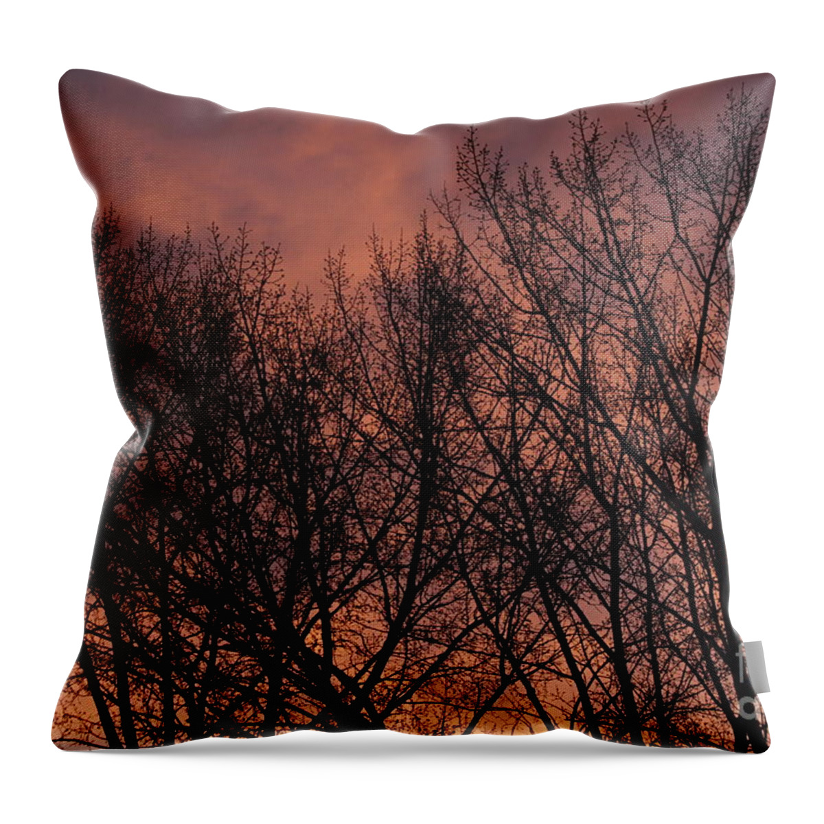 Sunrise Throw Pillow featuring the photograph Morning Starts by Ann E Robson
