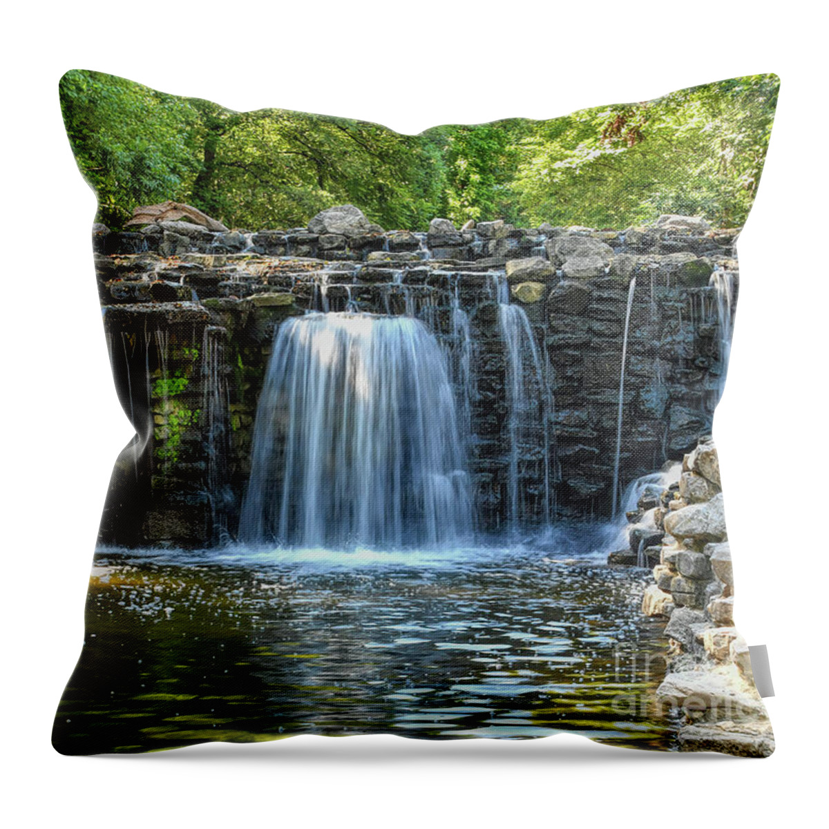 Long Throw Pillow featuring the photograph Morning Sunrise at Prairie Creek by Diana Mary Sharpton