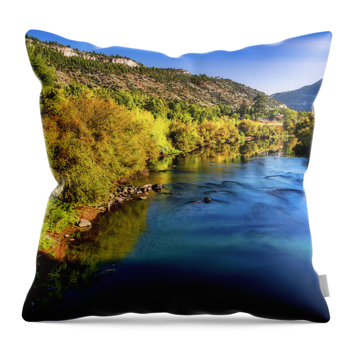 Train Throw Pillow featuring the photograph Morning Train to Silverton by Bradley Morris