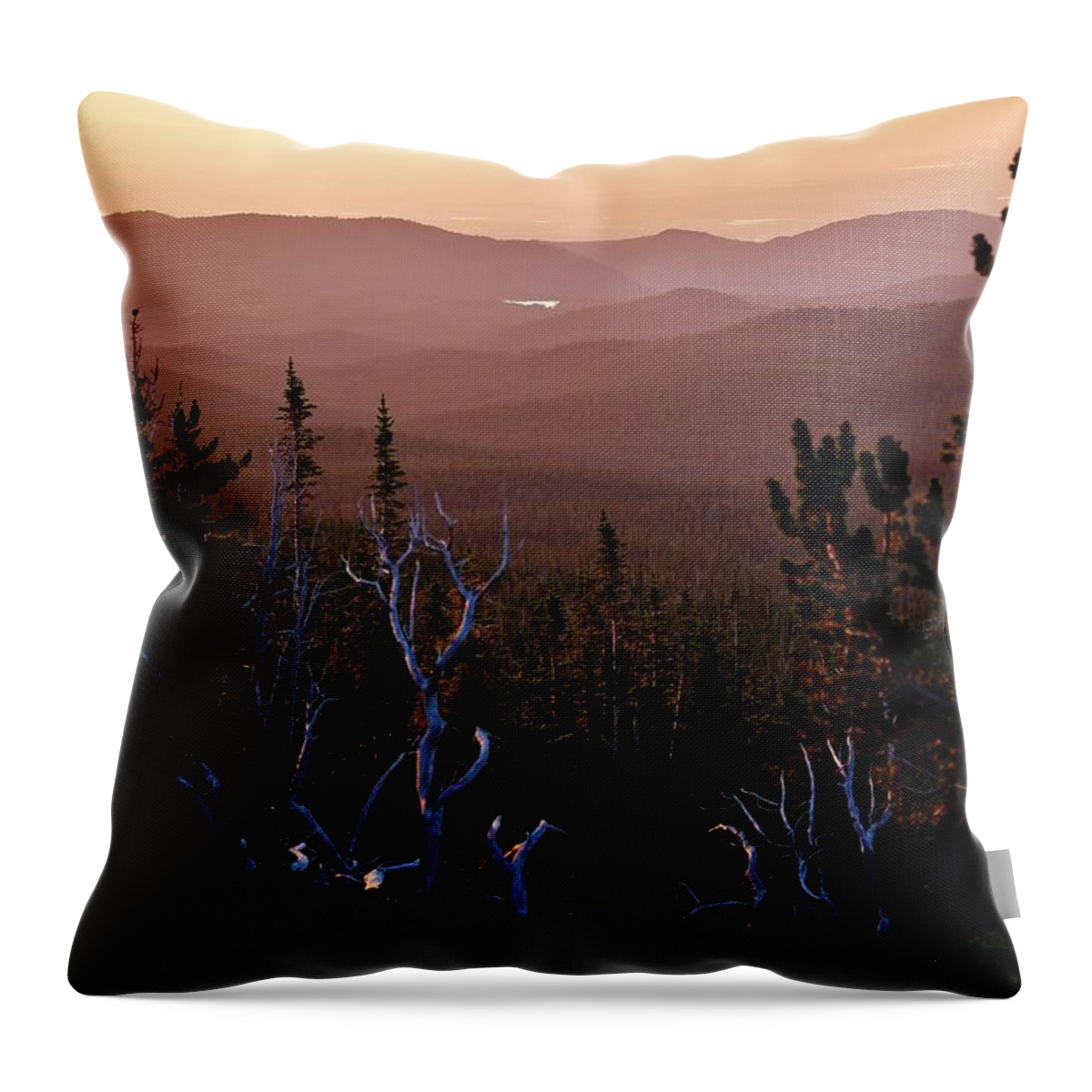 Audubon Throw Pillow featuring the photograph Morning Tree Line by David Broome