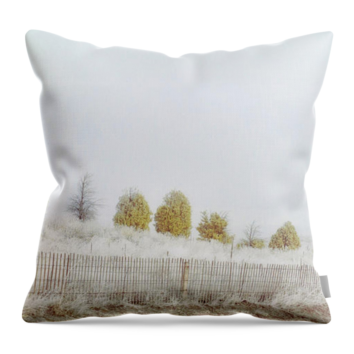 Infrared Throw Pillow featuring the photograph Morning Walk by Jim Cook