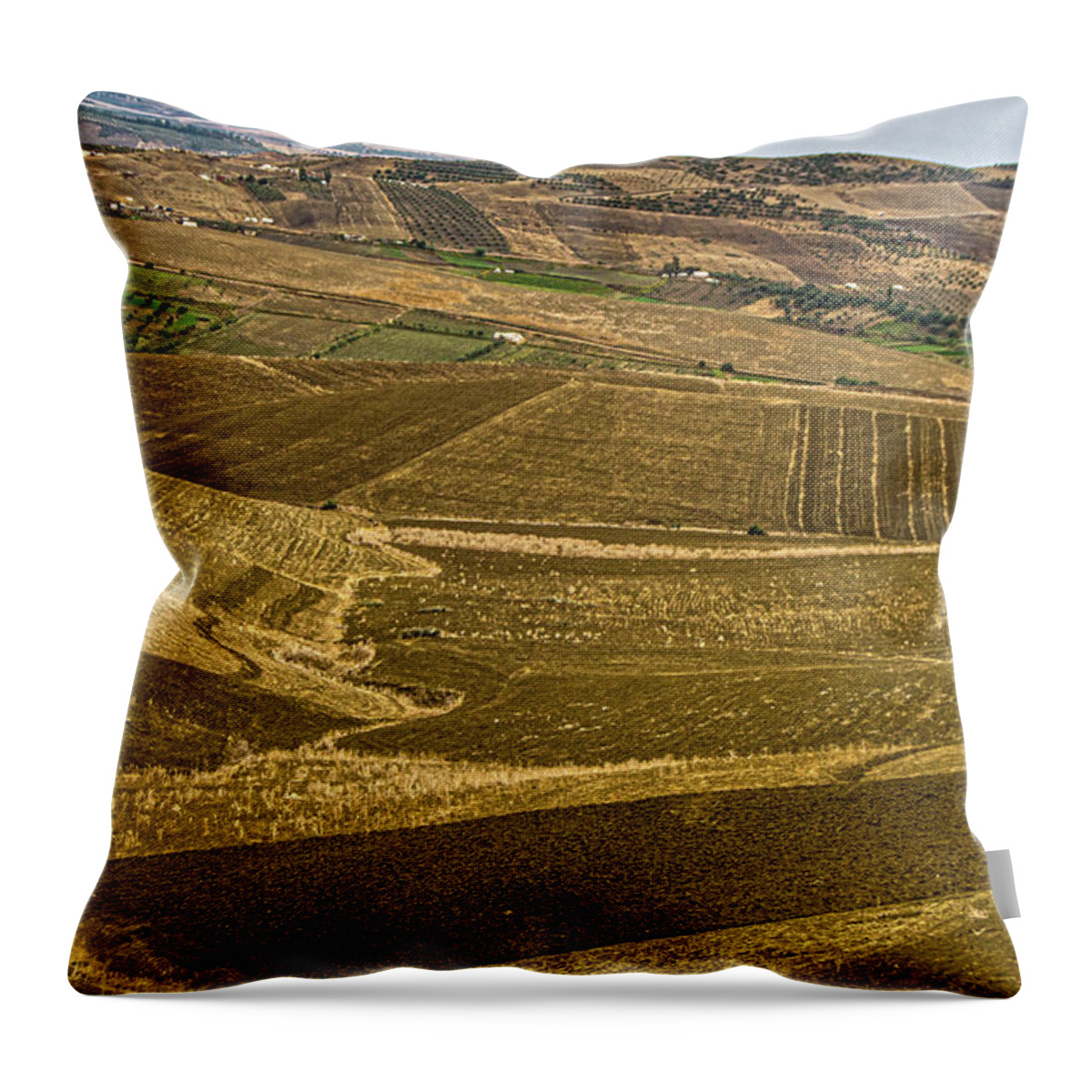 Morroco Throw Pillow featuring the photograph Morrocan Terrain by Edward Shmunes