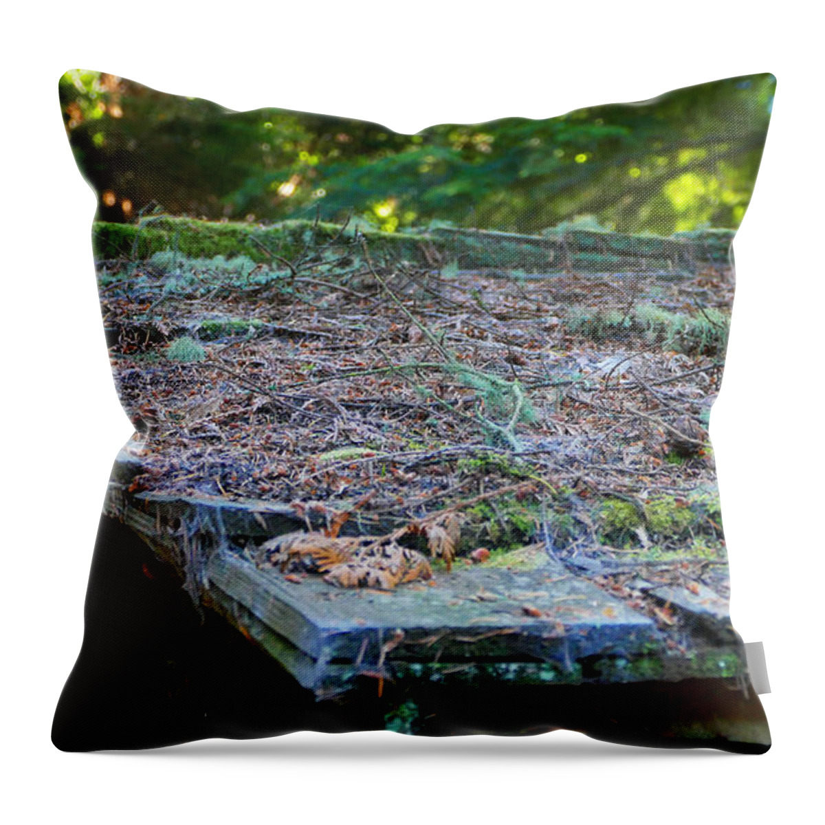 Fstop101 Forest Moss Pine Needs Abstract Nature Green Brown Throw Pillow featuring the photograph Moss and Pine Needles by Geno
