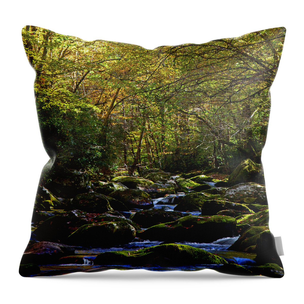 Travel Throw Pillow featuring the photograph Moss and Water by Gina Fitzhugh