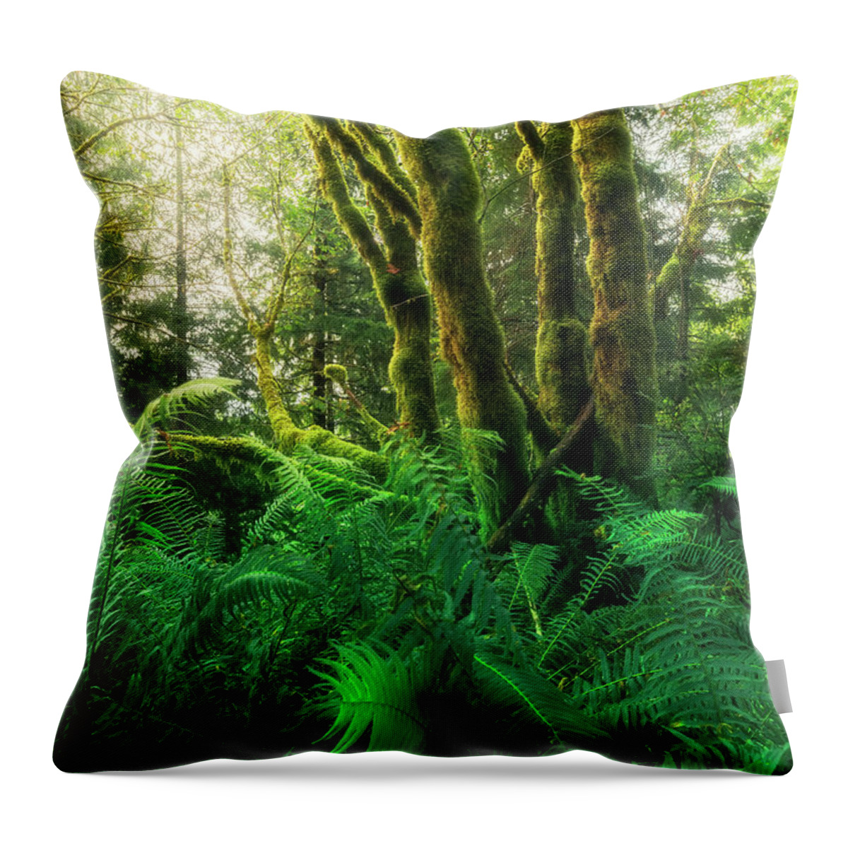 Oregon Coast Throw Pillow featuring the photograph Moss-covered trees with ferns by Masako Metz