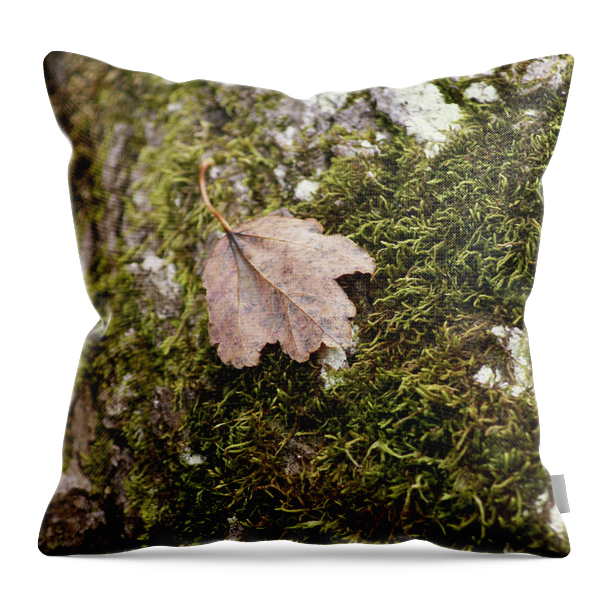  Throw Pillow featuring the photograph Moss Leaf by Heather E Harman