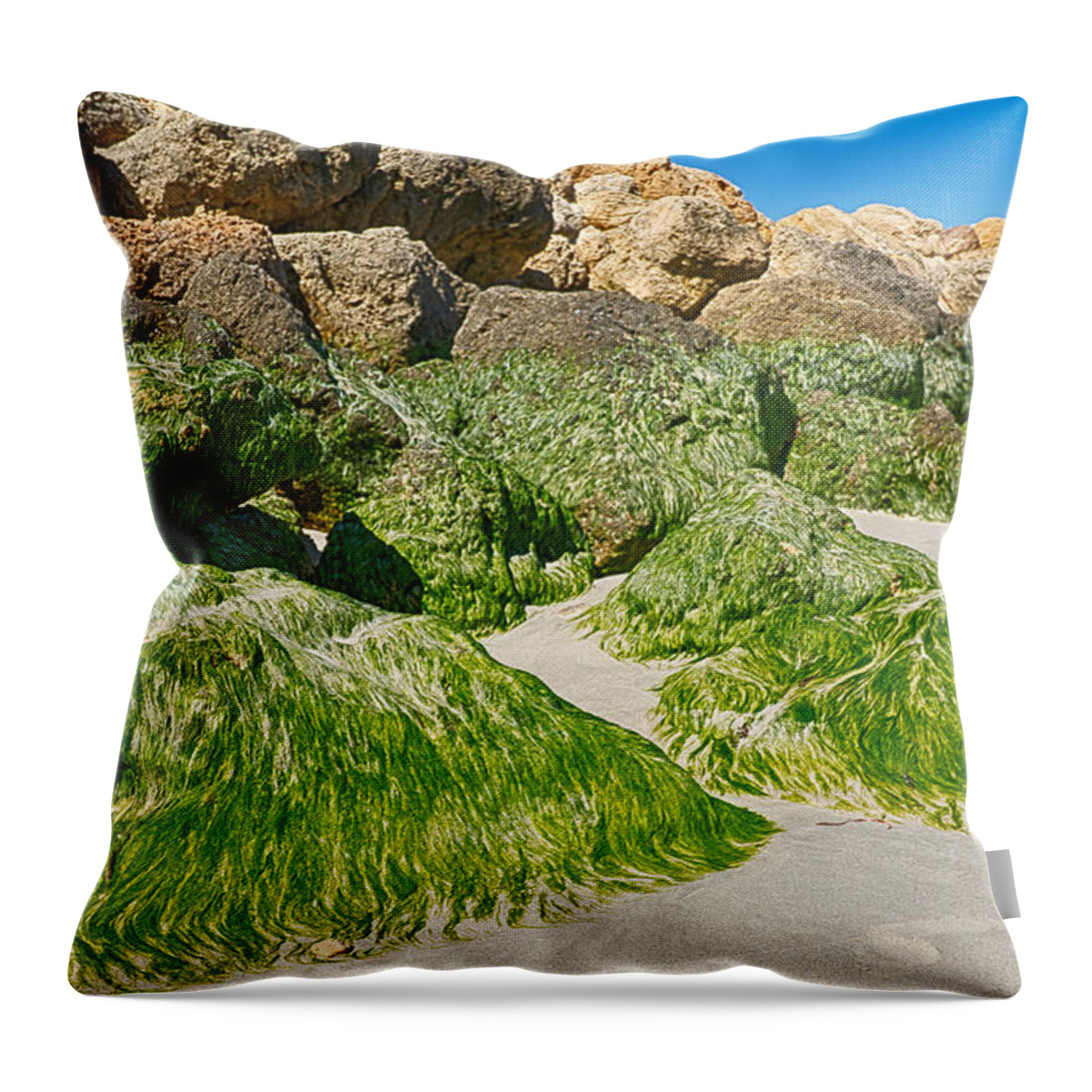 Australia Throw Pillow featuring the photograph Moss Mountains by Jay Heifetz