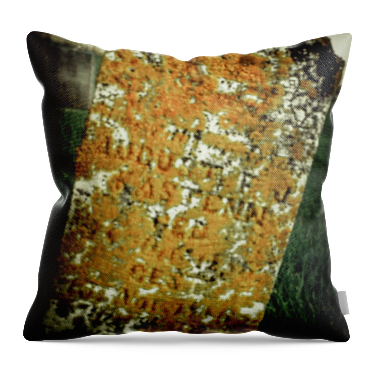 Monument Throw Pillow featuring the photograph Moss Remembers by Kelly Larson