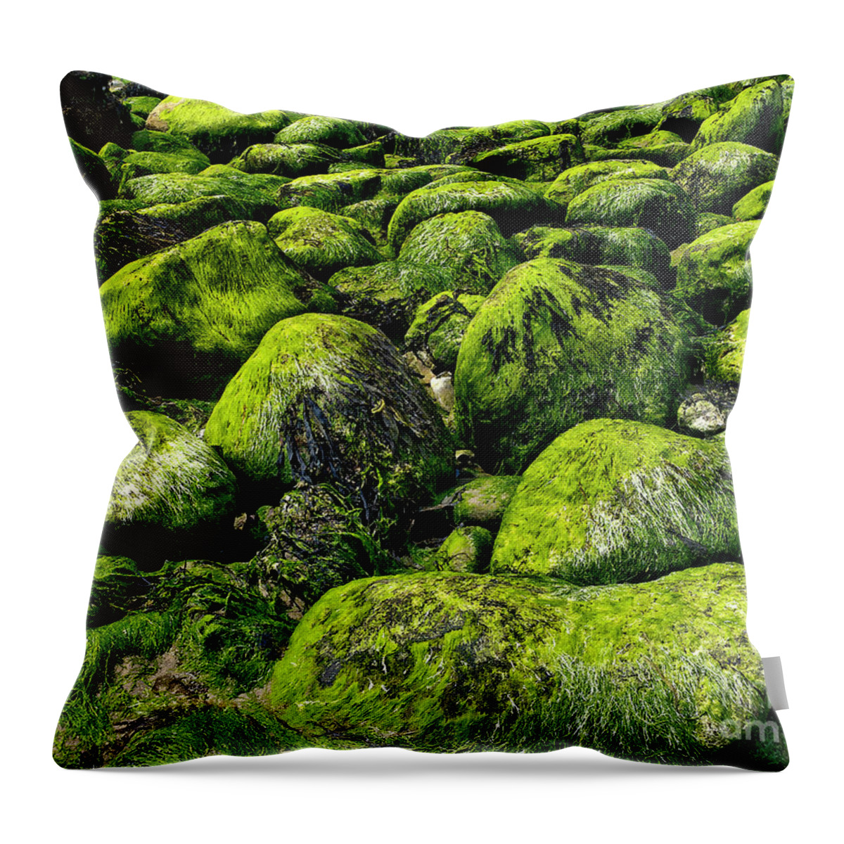 Mossy Bold Heads Boulders Stones Vivid Bright Vibrant Sunny Intimate Landscape Wonderland Delightful Beautiful Atmospheric Poetic Jolly Happy Impressive Fantastic Green Yellow Colorful Shapes Painterly Nature Wonder Singular Summer Day Shining Glossy Mysterious Slippery Majestic Glorious Magical Uk Numerous Uplifting Airily Scenic Moss Impressions Pleasing Serenity Serene Tranquil Unspoiled Charming Aesthetic Attractive Picturesque Spectacular Splendid Coastal Inspirational Untroubled Unwinding Throw Pillow featuring the photograph Mossy Bold Heads by Tatiana Bogracheva