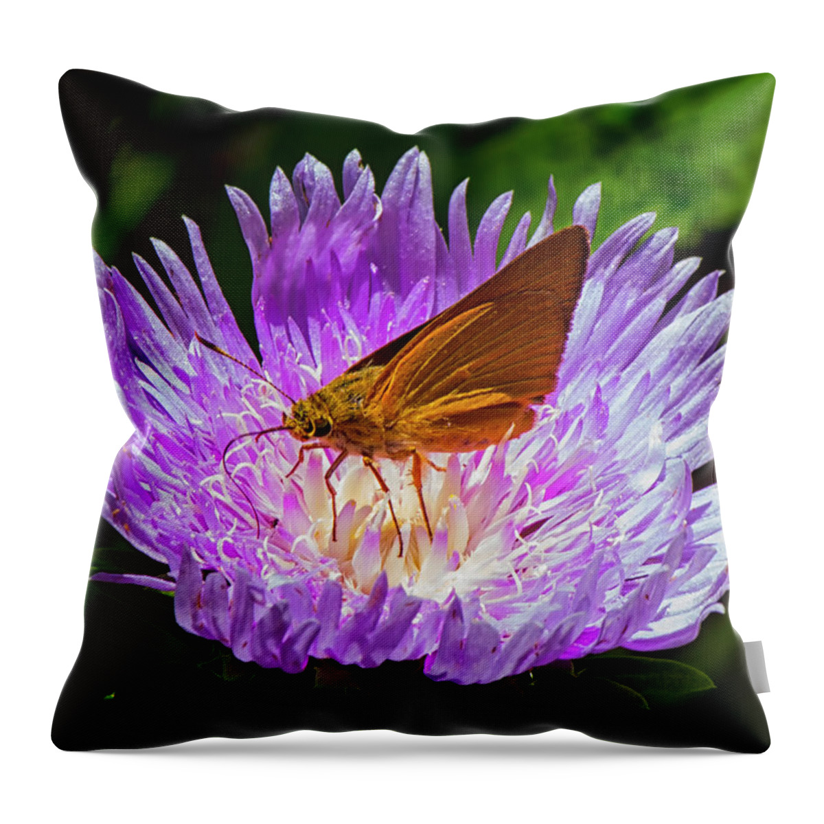 Blooming Throw Pillow featuring the photograph Moth on flower center by Charles Floyd