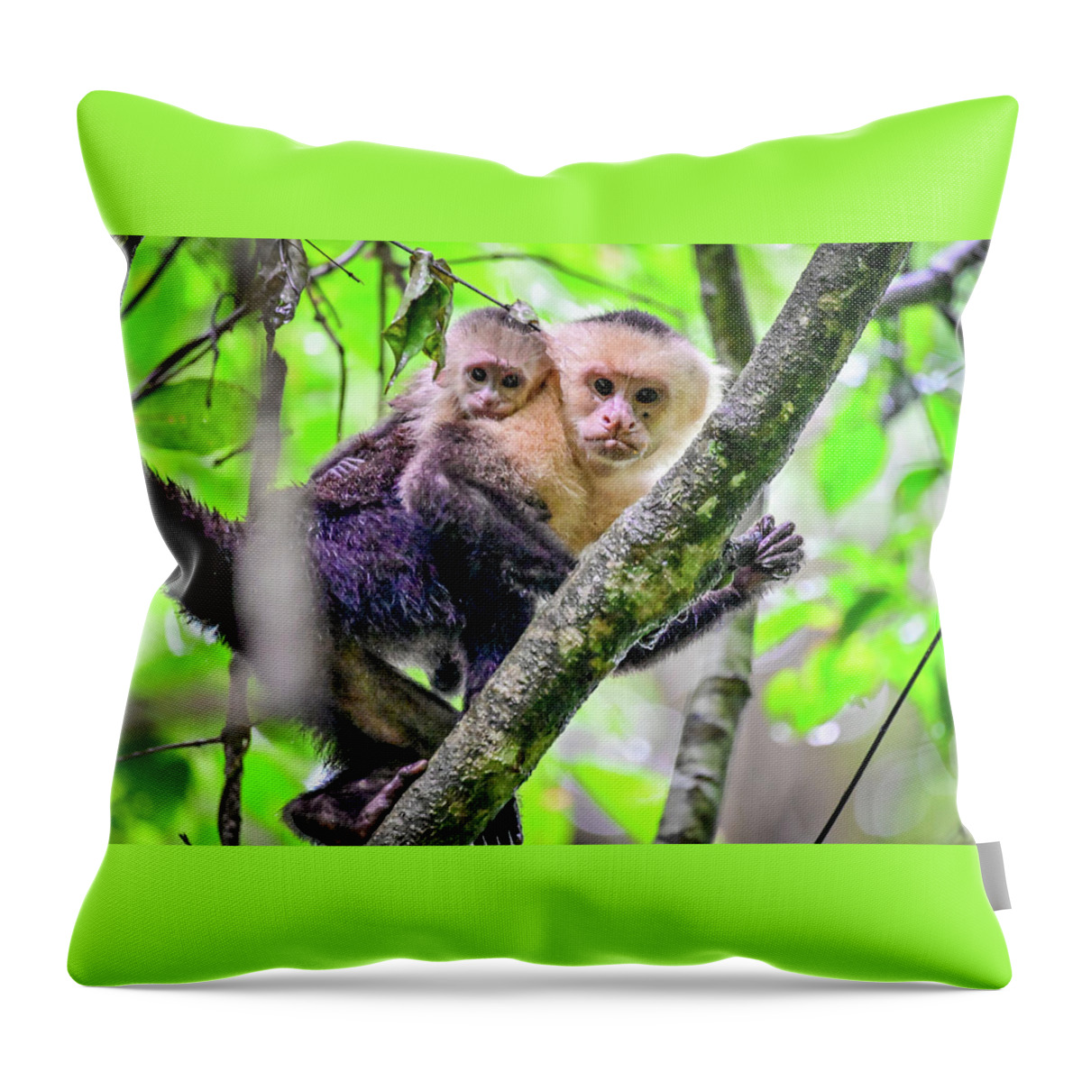 Capuchin Throw Pillow featuring the photograph Mother and Baby Capuchin by Ed Stokes