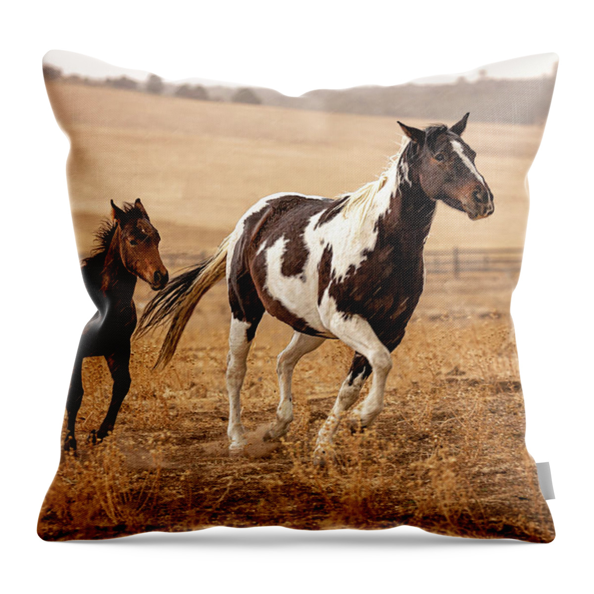 2020 Utah Trip Throw Pillow featuring the photograph Mother and her Foal by Gary Johnson
