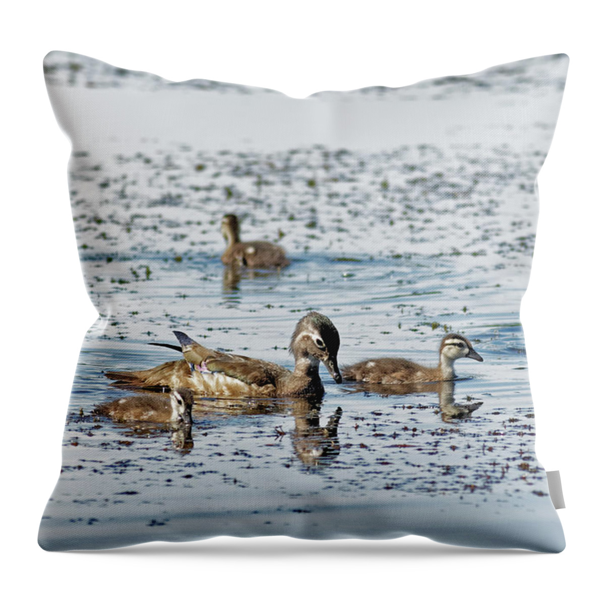 Duck Throw Pillow featuring the photograph Mother Wood Duck with Ducklings by Natural Focal Point Photography