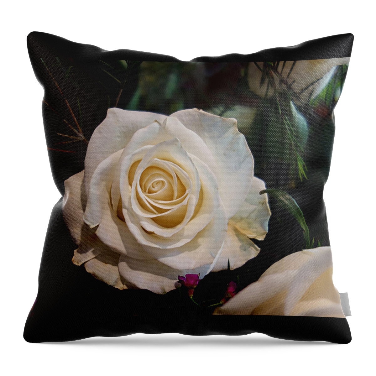Flower Throw Pillow featuring the photograph Mothers Day White Rose by Russel Considine