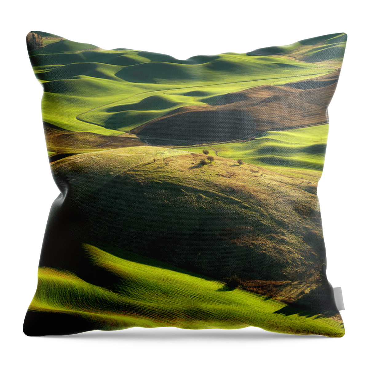Palouse Throw Pillow featuring the photograph Mounds of Joy by Ryan Manuel