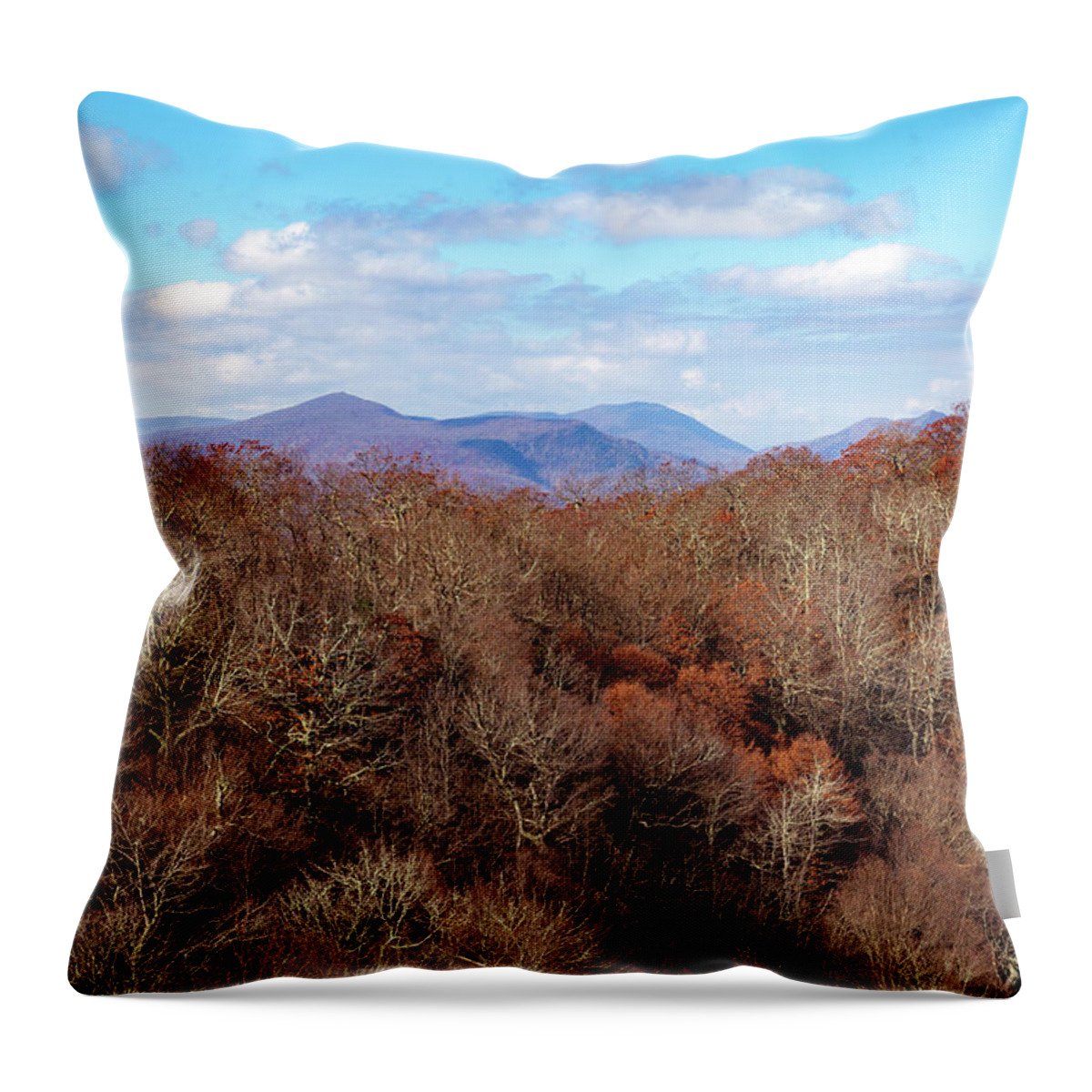 Mountains Throw Pillow featuring the photograph Mount Jefferson View by Cindy Robinson