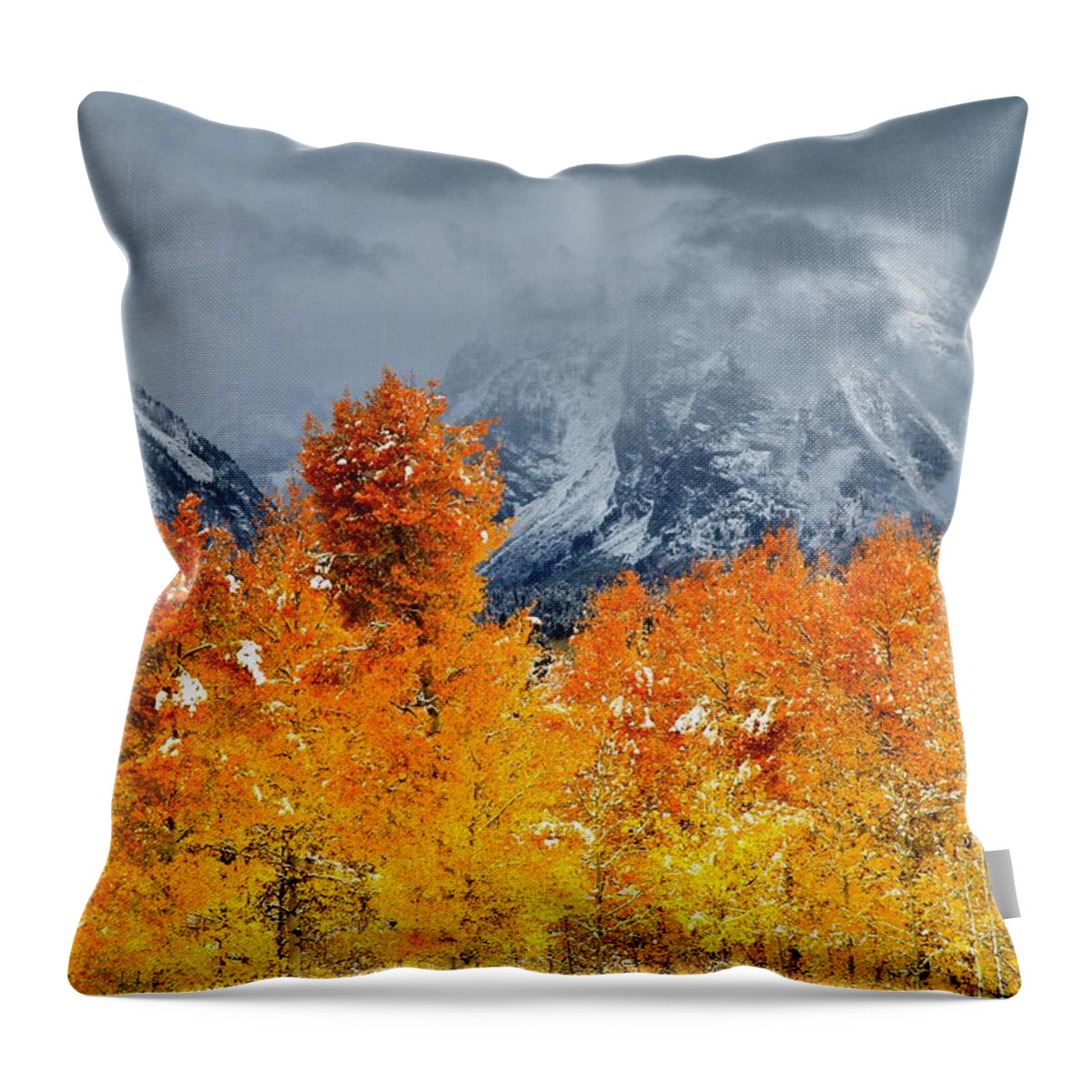 Mount Moran Throw Pillow featuring the photograph Mount Moran 12,605 by Ed Riche