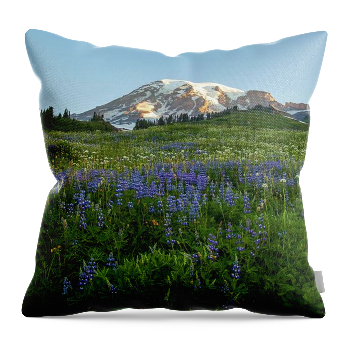 Landscape Throw Pillow featuring the photograph Mount Rainier Brilliant Meadow by Mike Reid