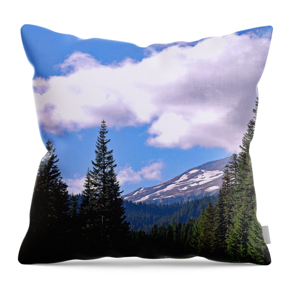Glaciers Throw Pillow featuring the photograph Mount Rainier National Park by Connie Fox