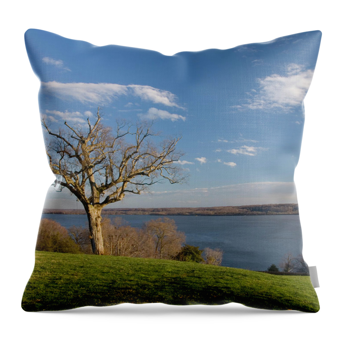 Virginia Throw Pillow featuring the photograph Mount Veron Tree by Tara Krauss