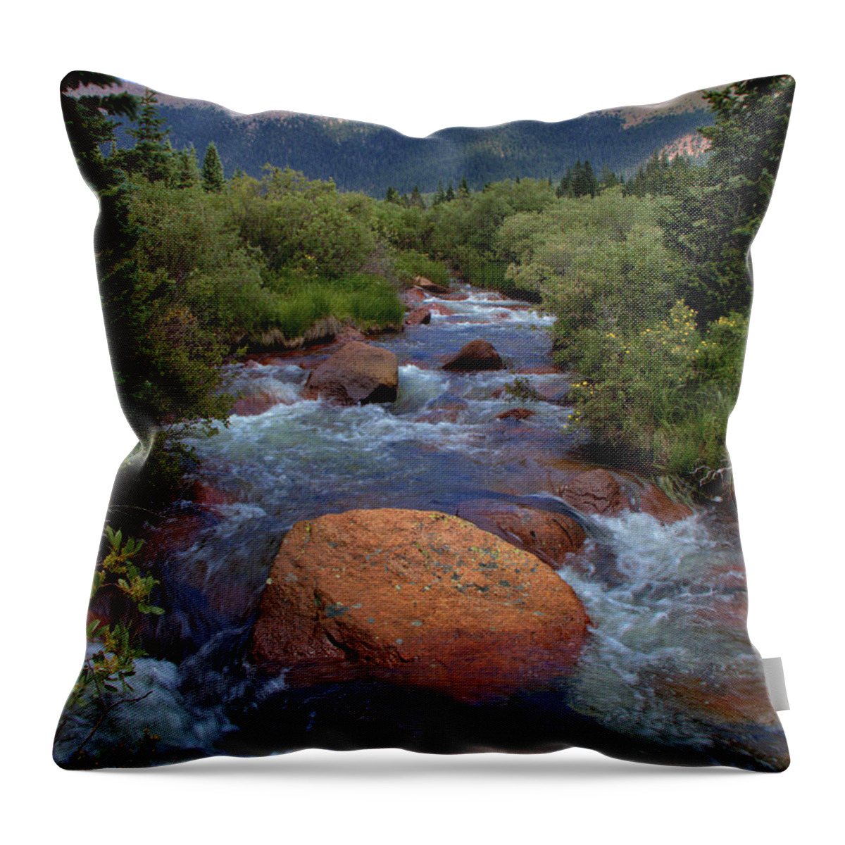 Mountains Throw Pillow featuring the photograph Mountain Creek by Bob Falcone
