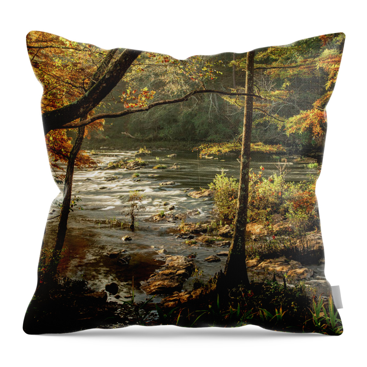Cypress Trees Throw Pillow featuring the photograph Mountain Fork River in Fall Morning by Iris Greenwell