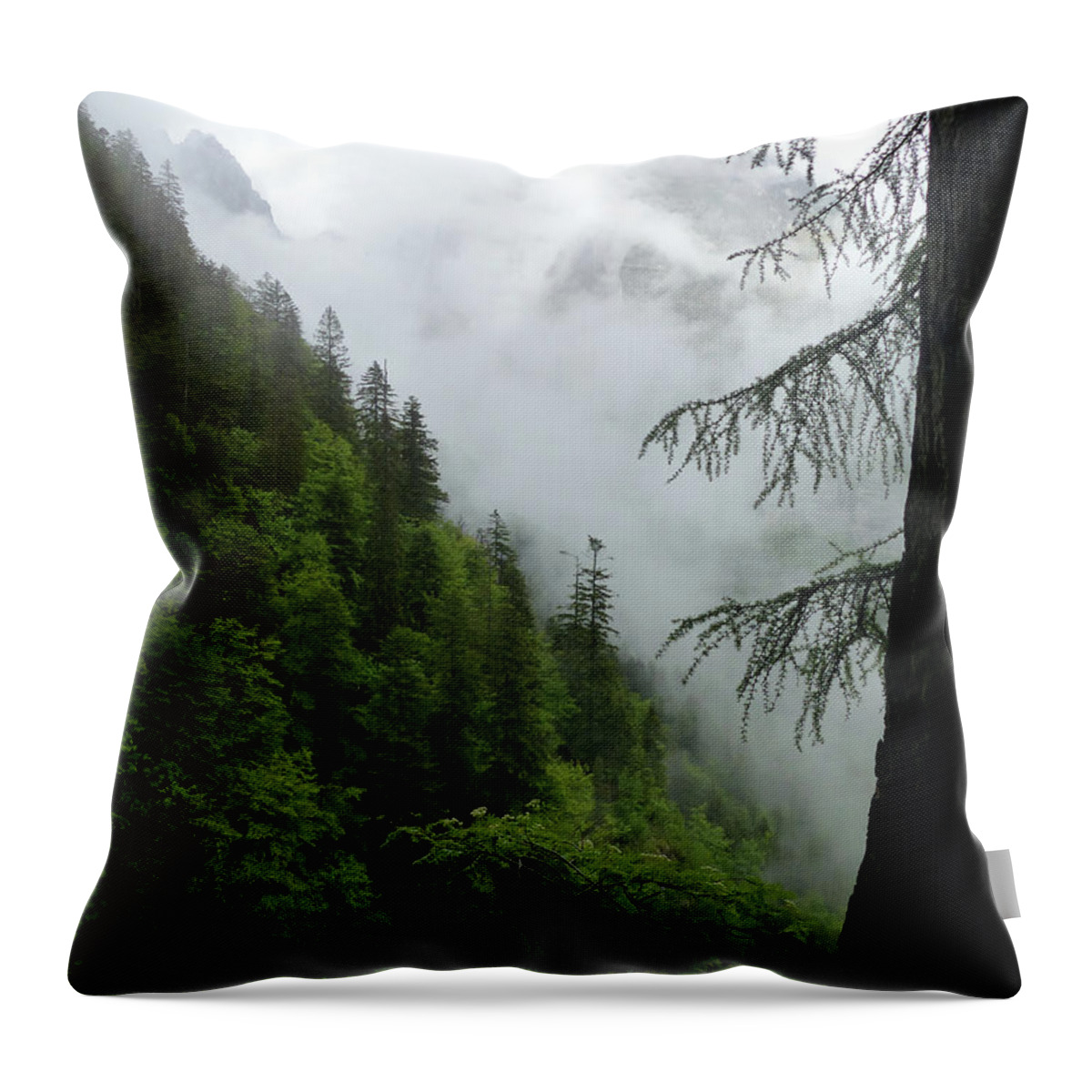 Mountains Throw Pillow featuring the photograph Mountain Mist Clearing by Phil Banks