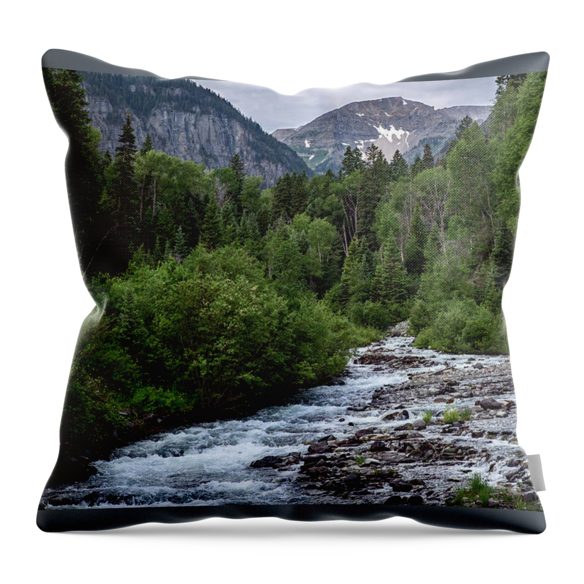 Landscape Throw Pillow featuring the photograph Mountain Stream in the San Juans by Melany Sarafis