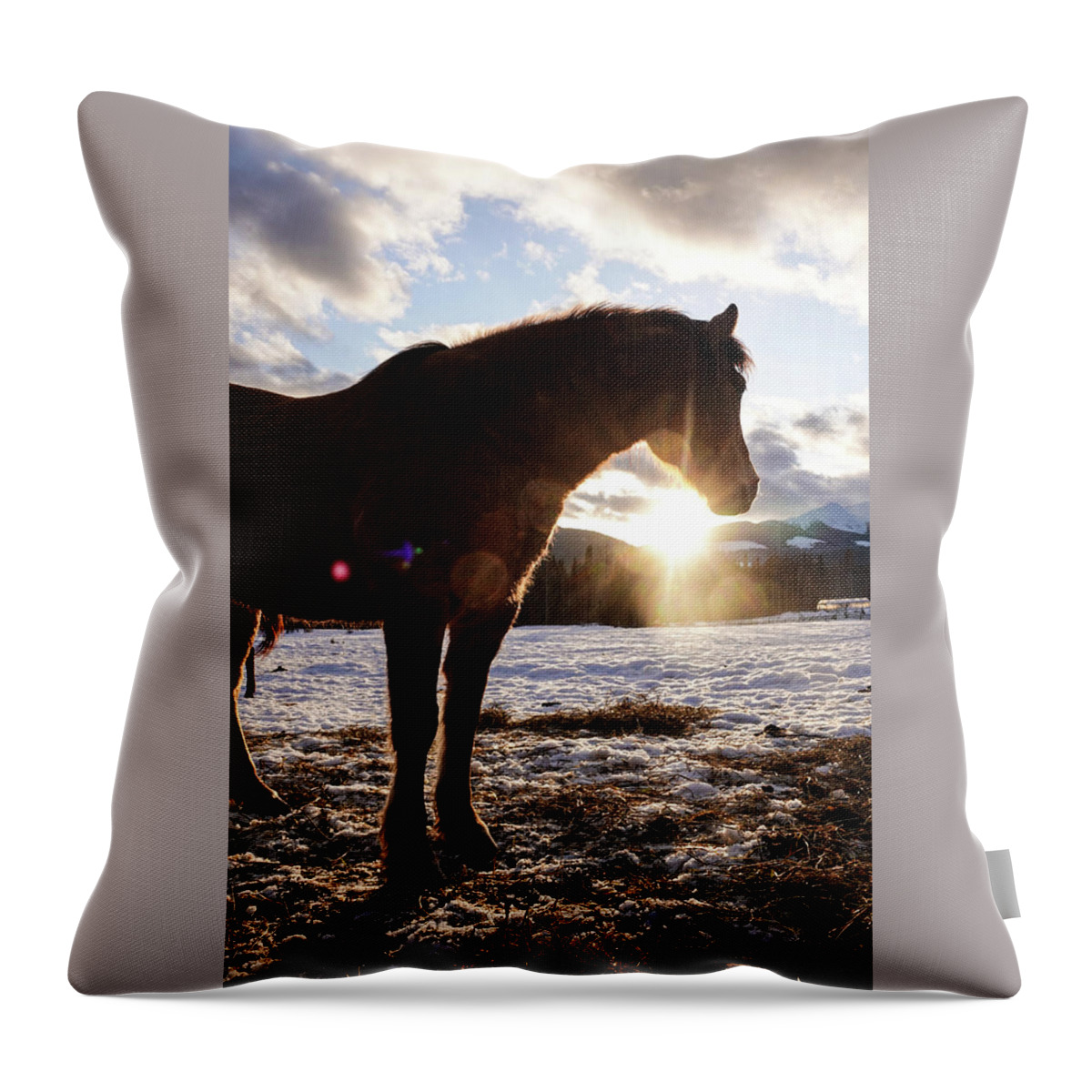 Winter Throw Pillow featuring the photograph Mountain Sunset by Listen To Your Horse
