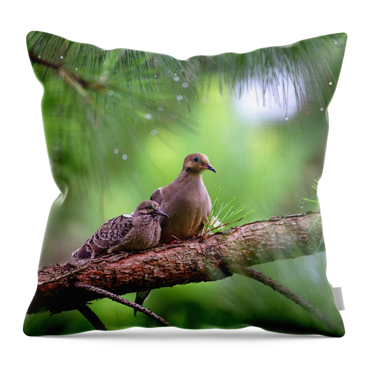 Christmas Dove Throw Pillow featuring the photograph Mourning doves sheltering from the rain by Rehna George