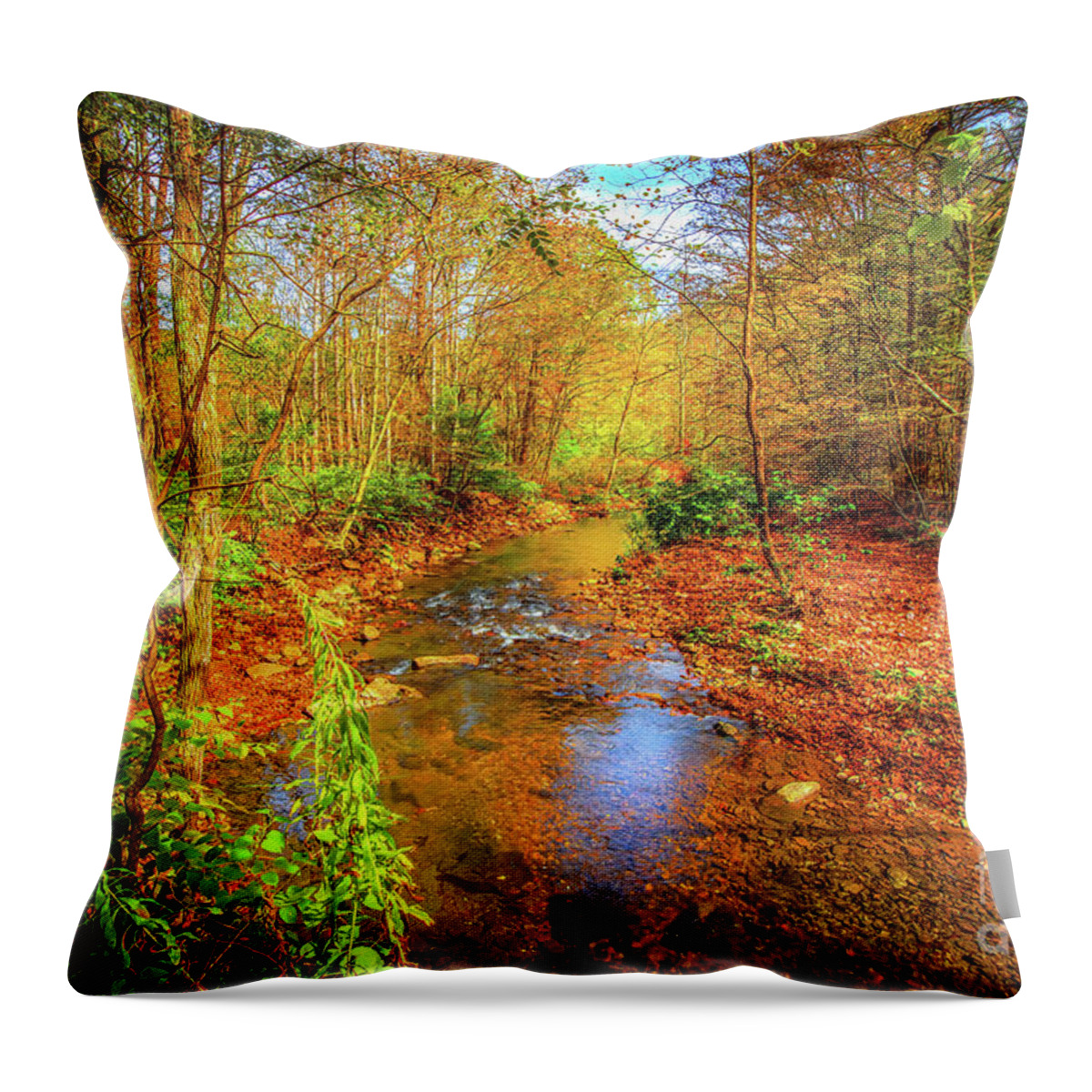 Autumn Throw Pillow featuring the photograph Mouth of Wilson in Autumn by Shelia Hunt