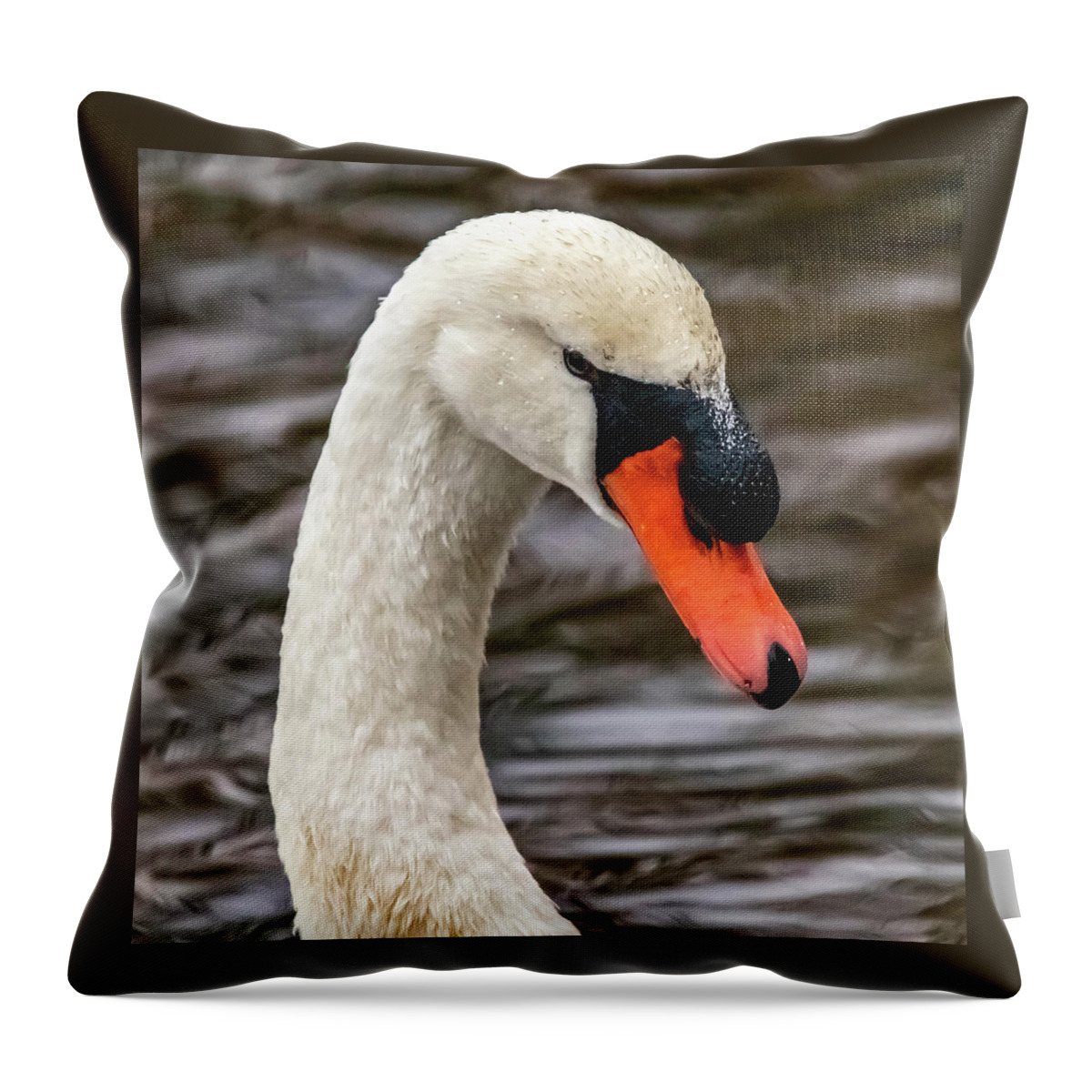 Swan Throw Pillow featuring the photograph Mr, Swan by William Bretton
