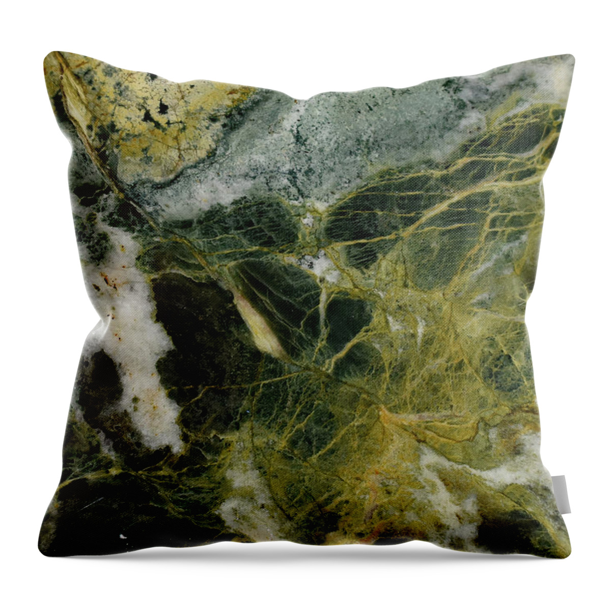 Art In A Rock Throw Pillow featuring the photograph Mr1005d by Art in a Rock