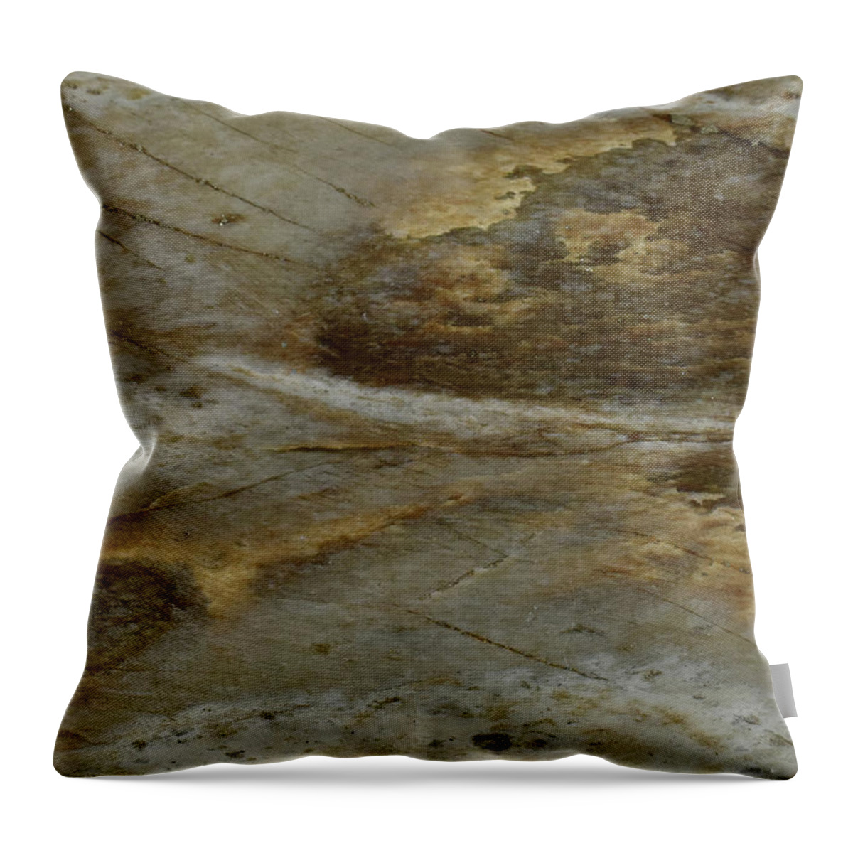 Art In A Rock Throw Pillow featuring the photograph Mr1012d by Art in a Rock