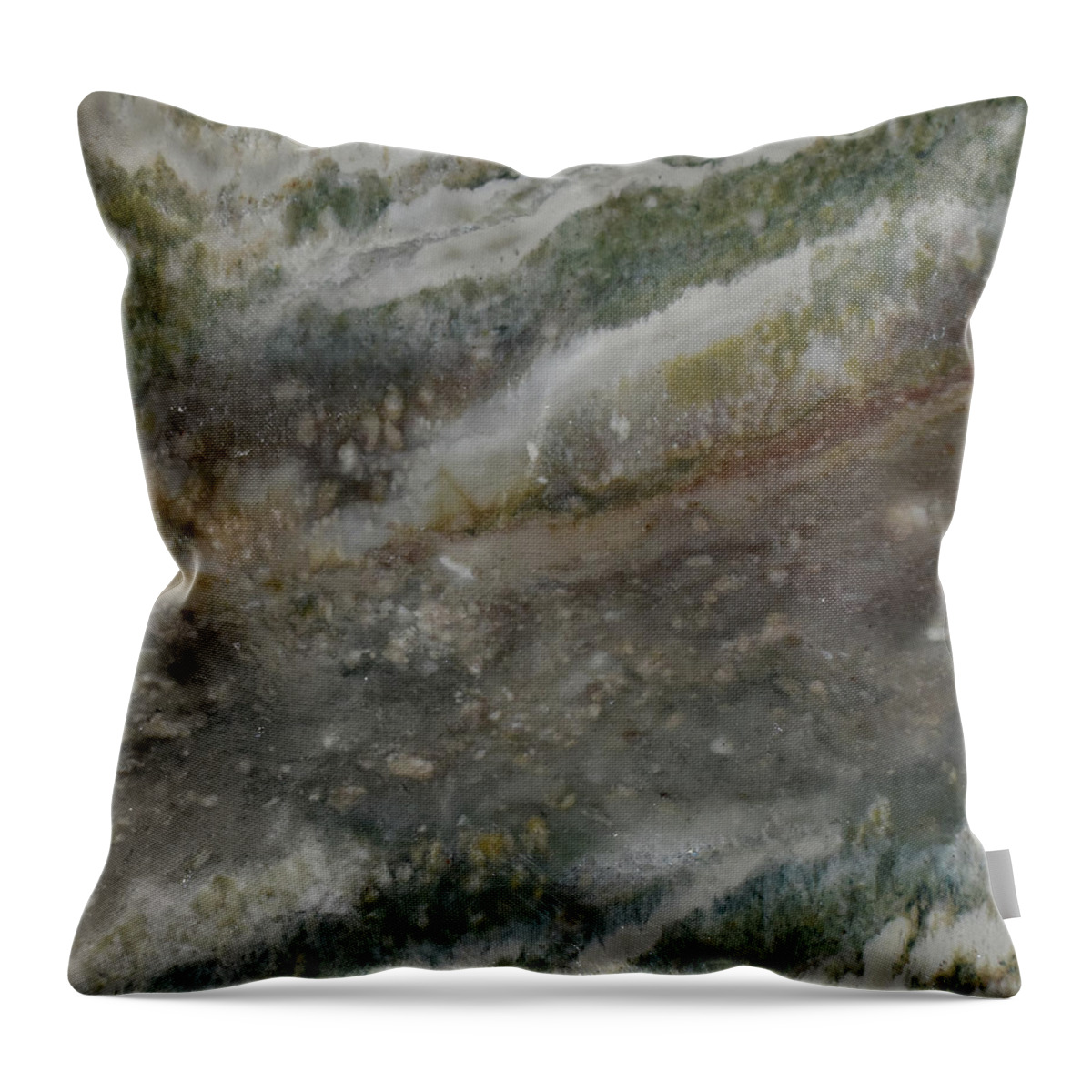  Throw Pillow featuring the photograph Mr1023d by Art in a Rock
