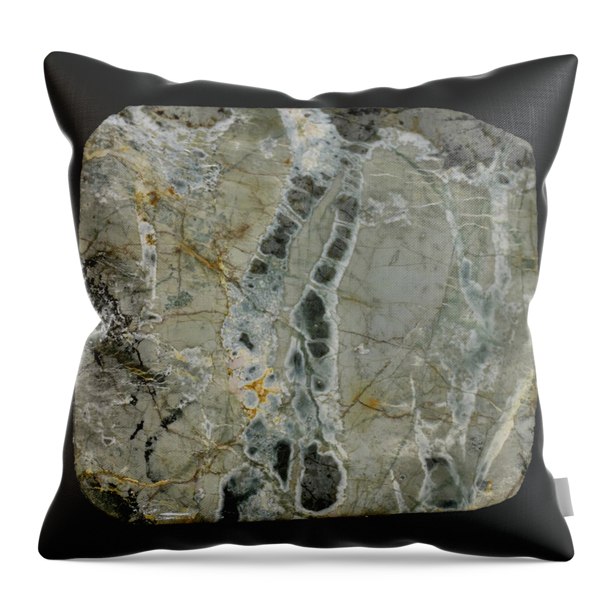Art In A Rock Throw Pillow featuring the photograph Mr1034 by Art in a Rock