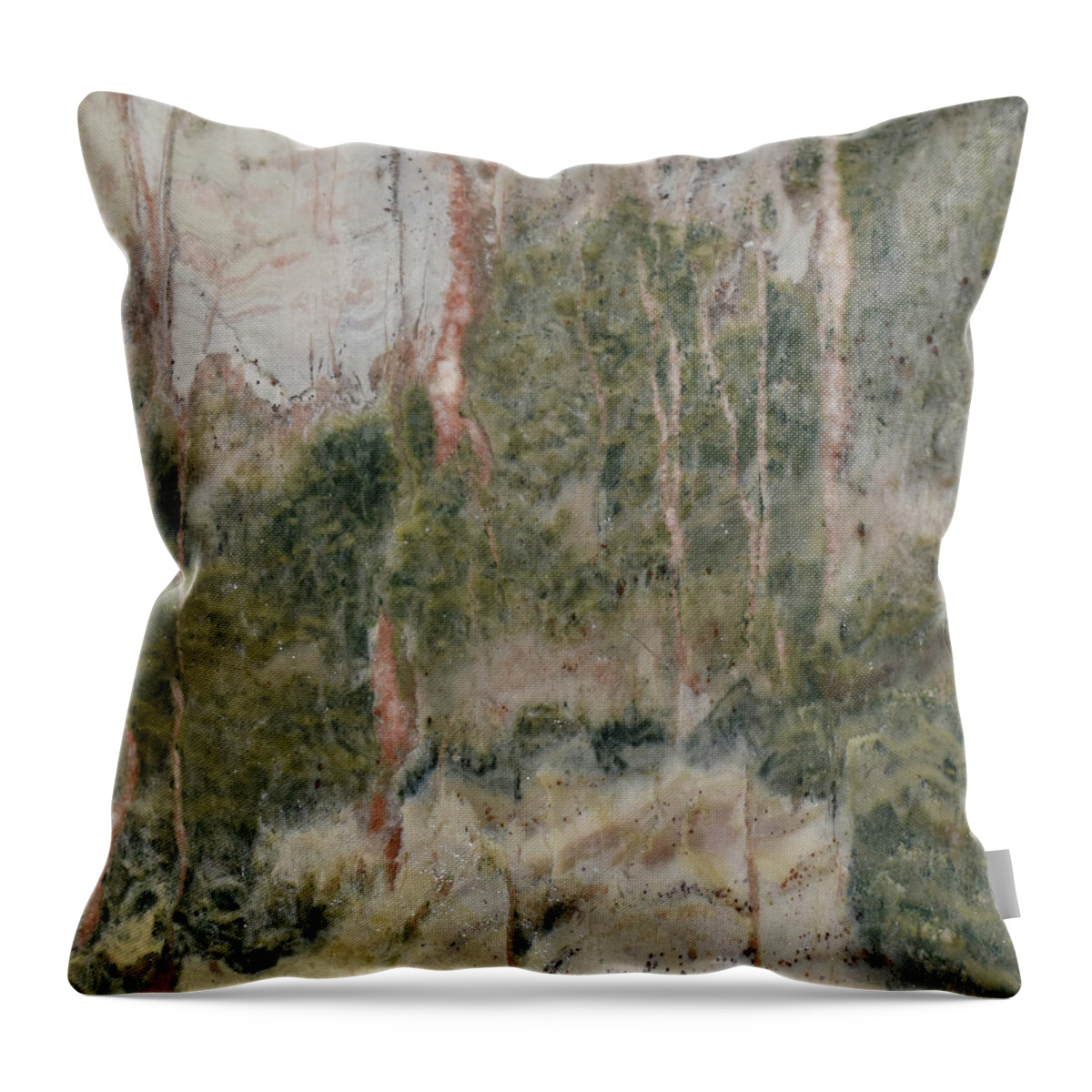 Art In A Rock Throw Pillow featuring the photograph Mr1037d by Art in a Rock