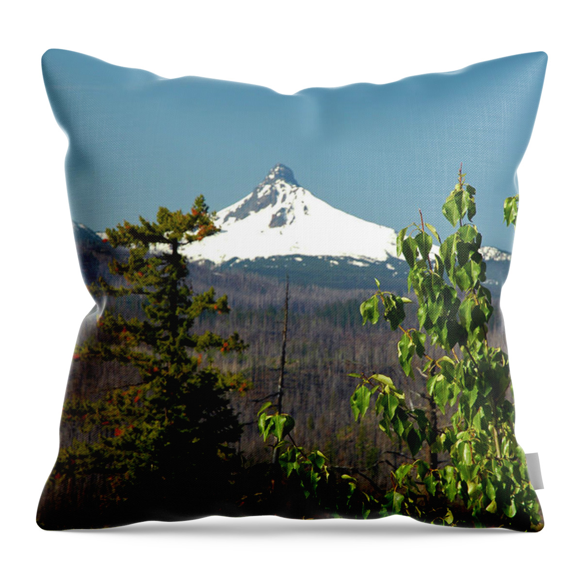 Mt. Washington Throw Pillow featuring the photograph Mt. Washington by Cindy Murphy
