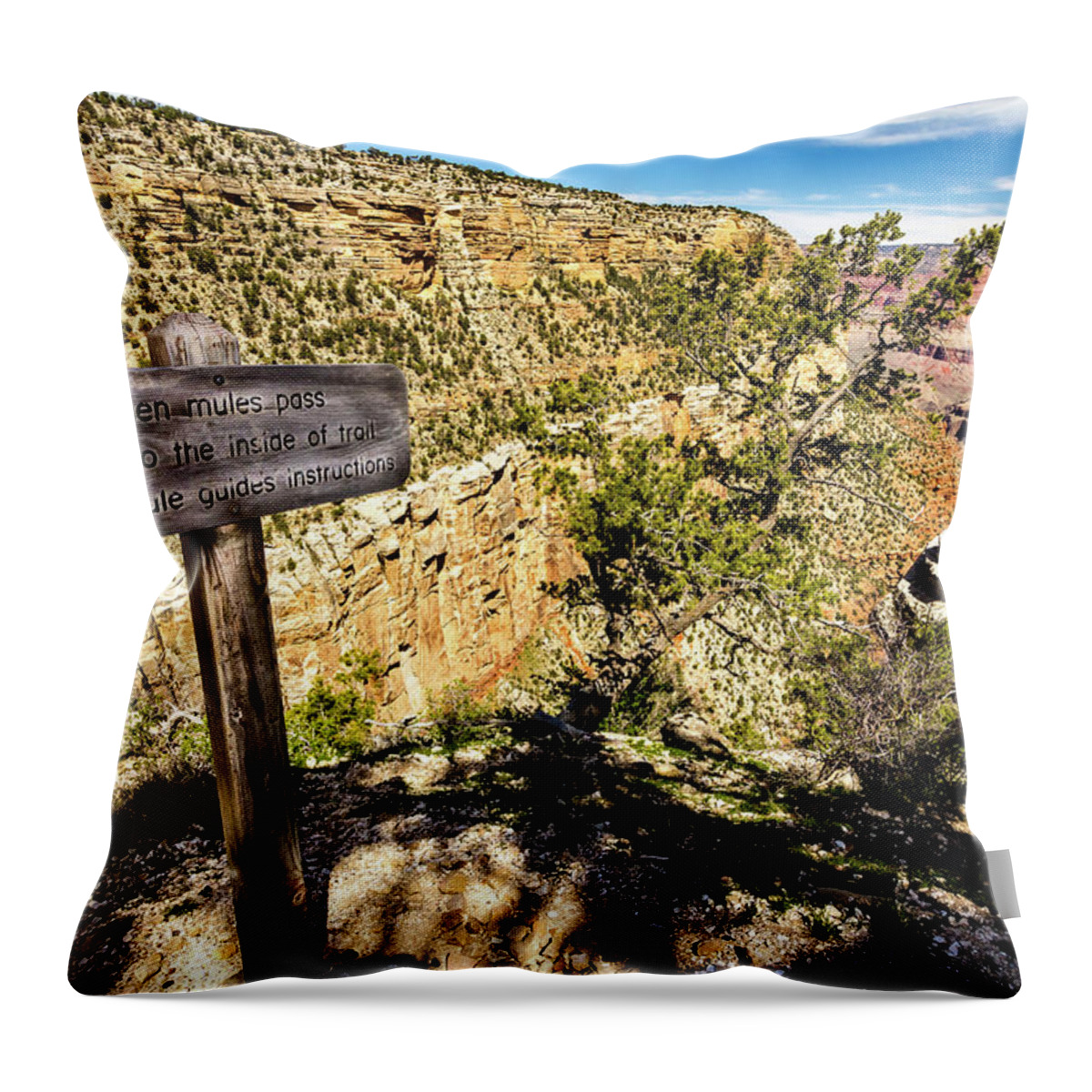 Canyon Throw Pillow featuring the photograph Mule train sign on Bright Angel Trail by Craig A Walker