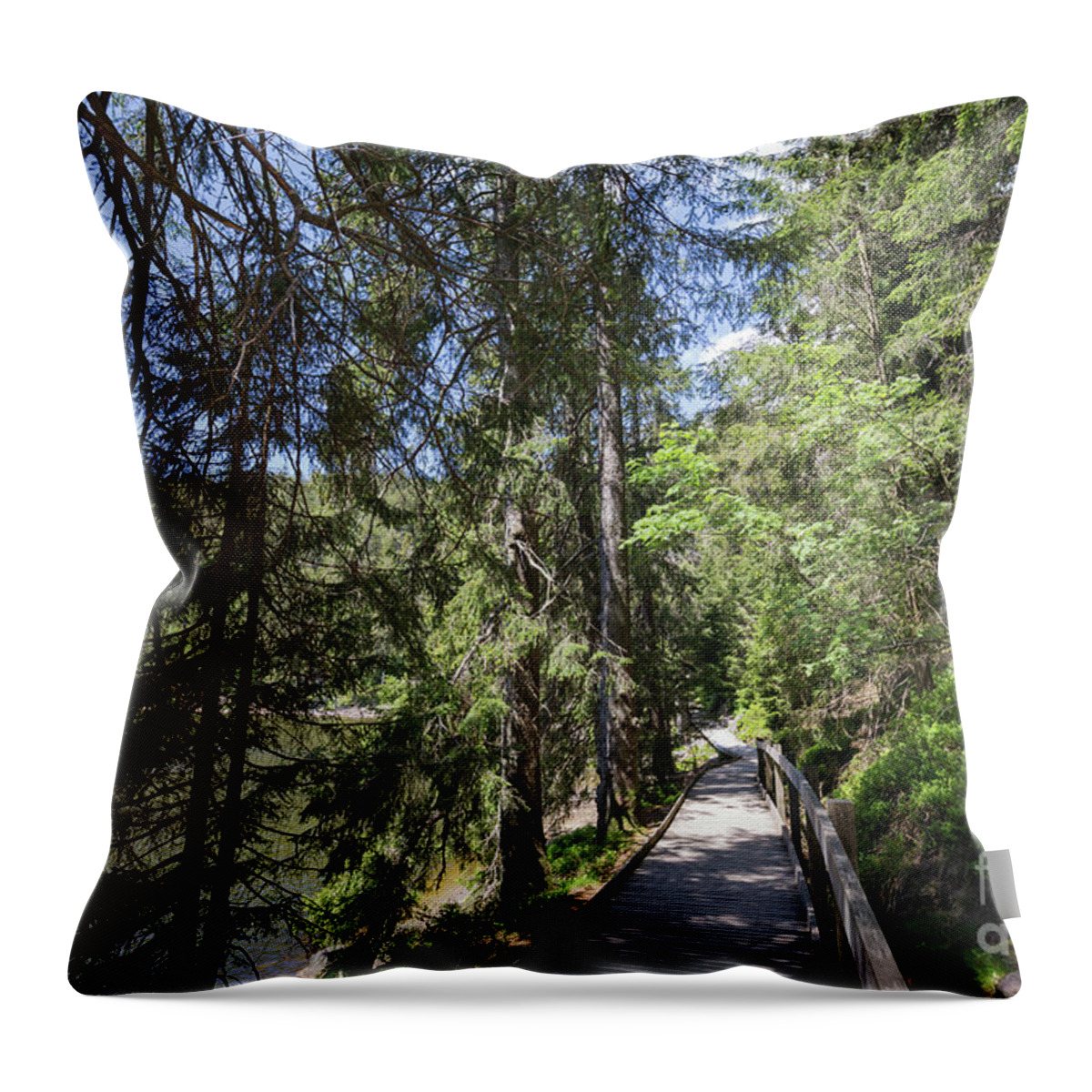 Mummelsee Throw Pillow featuring the photograph Mummelsee,Boardwallk by Eva Lechner