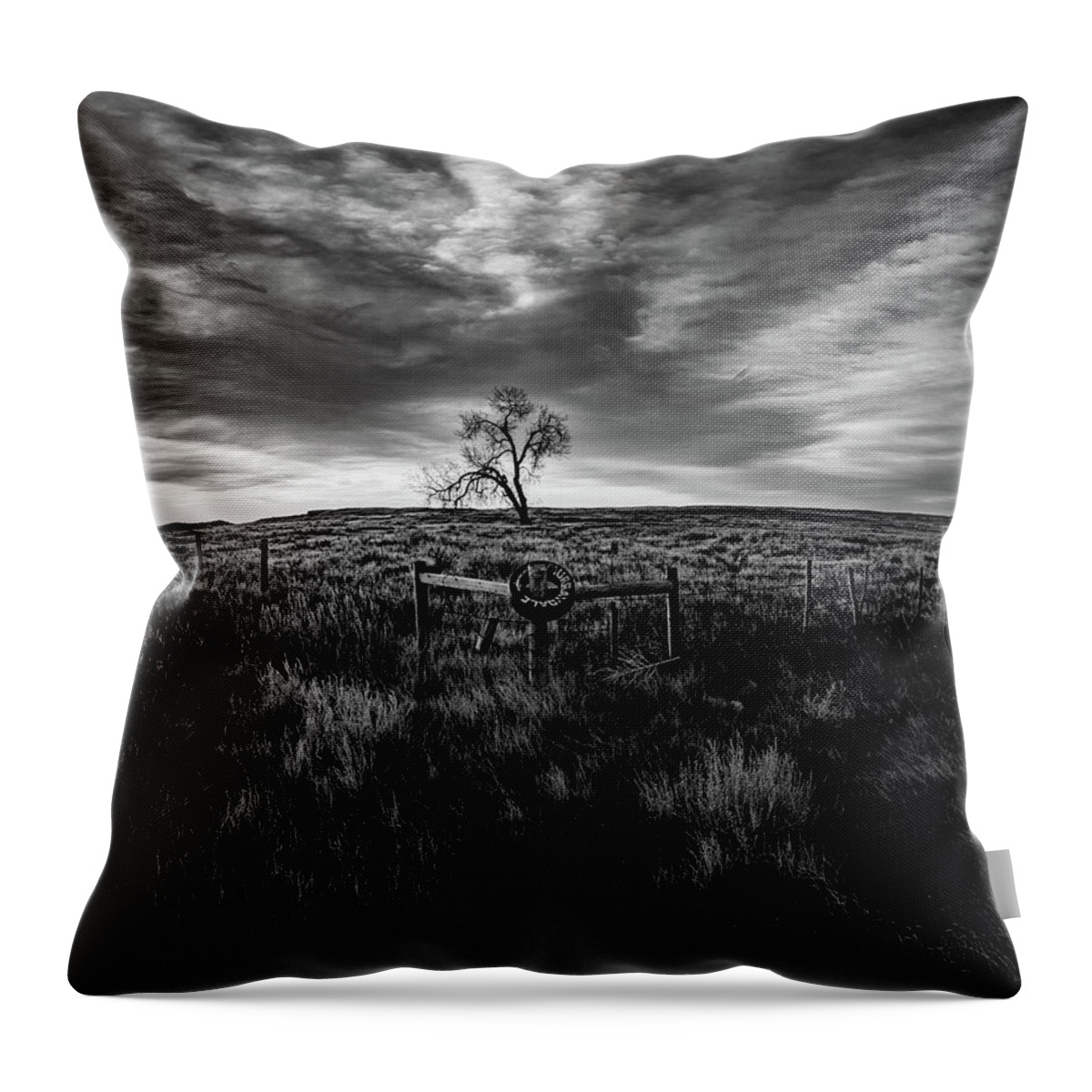  Throw Pillow featuring the photograph Murray Tree Monochrome by Darcy Dietrich