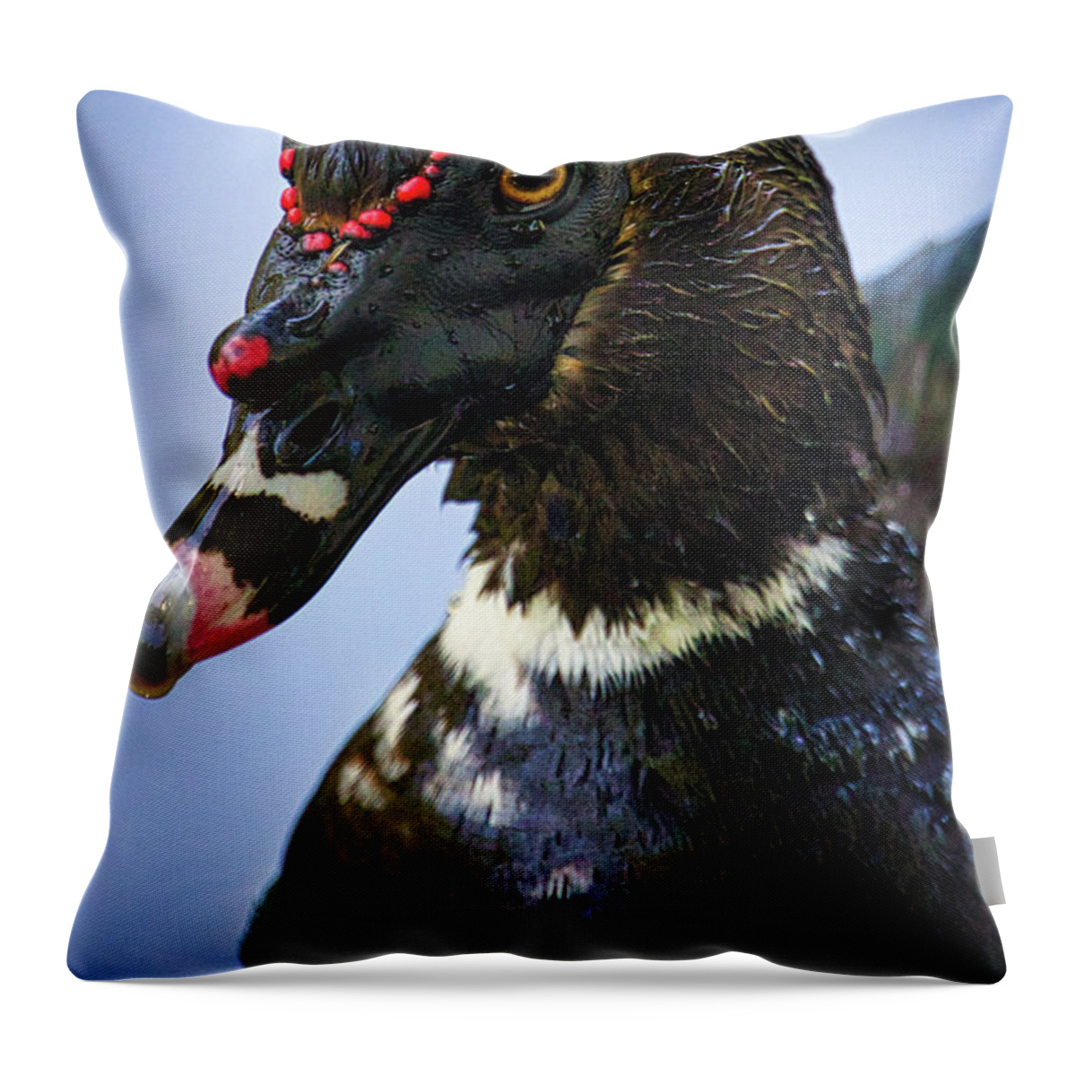 Duck Throw Pillow featuring the photograph Muscovy Duck by Rene Vasquez