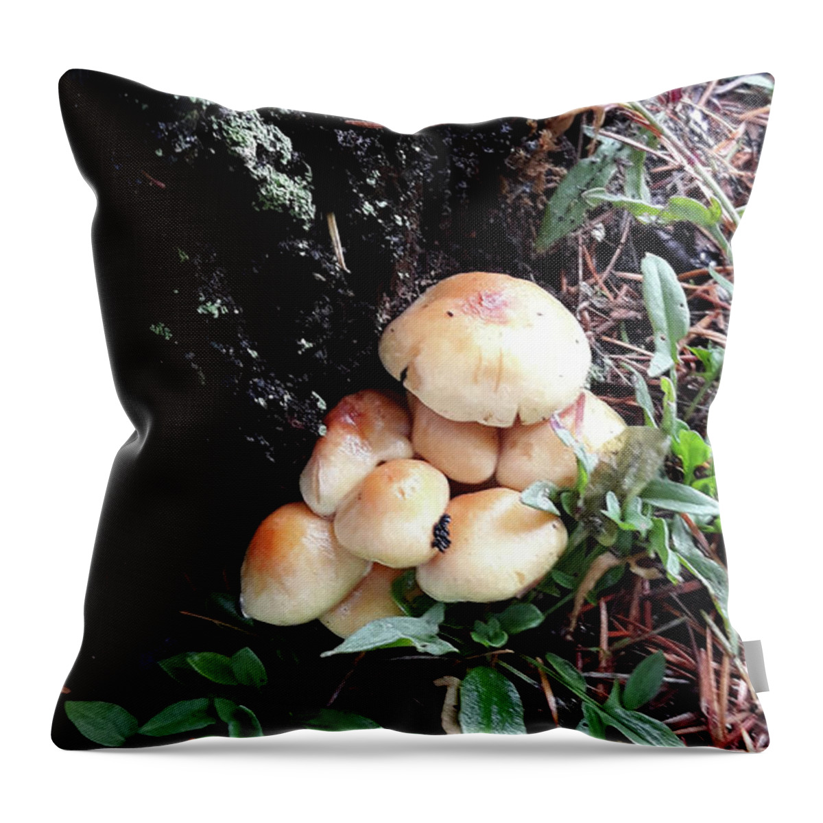Mushroom Cluster Throw Pillow featuring the digital art Mushroom Cluster by Tom Janca