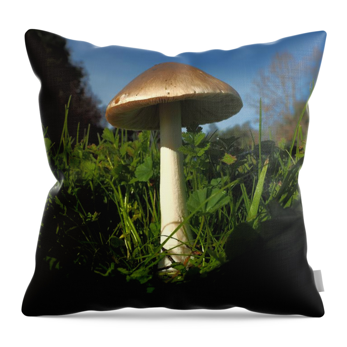 City Park Throw Pillow featuring the photograph Mushroom Direction by Richard Thomas