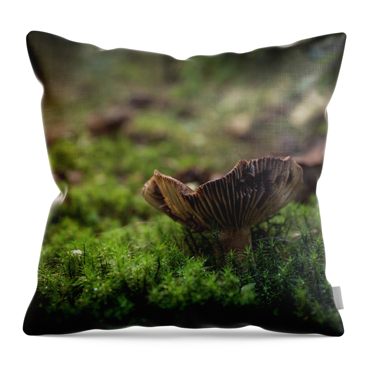 Forest Throw Pillow featuring the photograph Mushrooms by Gavin Lewis