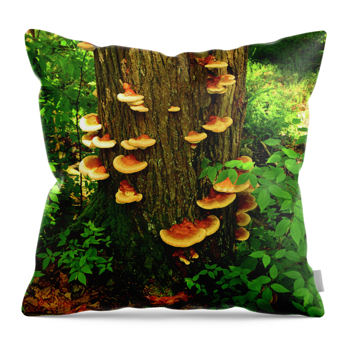 Mushrooms On Nj Appalachian Trail Throw Pillow featuring the photograph Mushrooms on NJ Appalachian Trail by Raymond Salani III