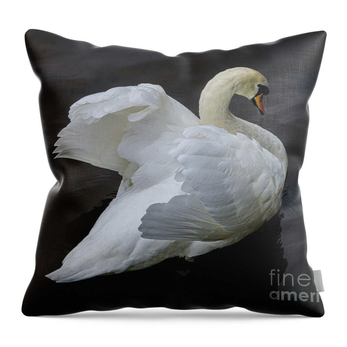 Mute Swan Throw Pillow featuring the photograph Mute Swan in Galway Bay, Ireland #2 by Nancy Gleason