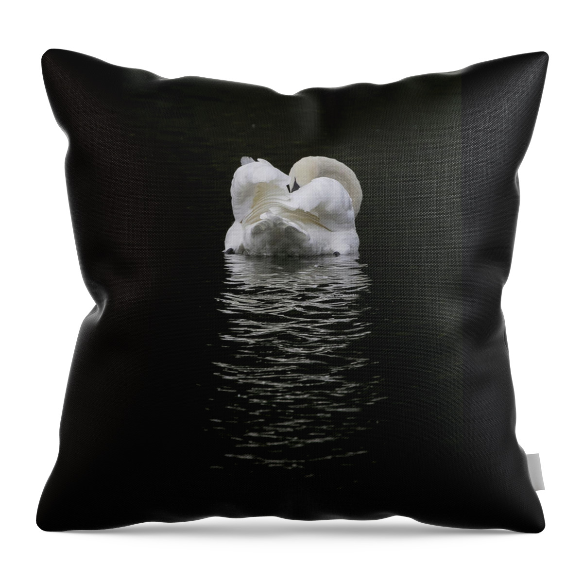 Flyladyphotographybywendycooper Throw Pillow featuring the photograph Mute Swan by Wendy Cooper
