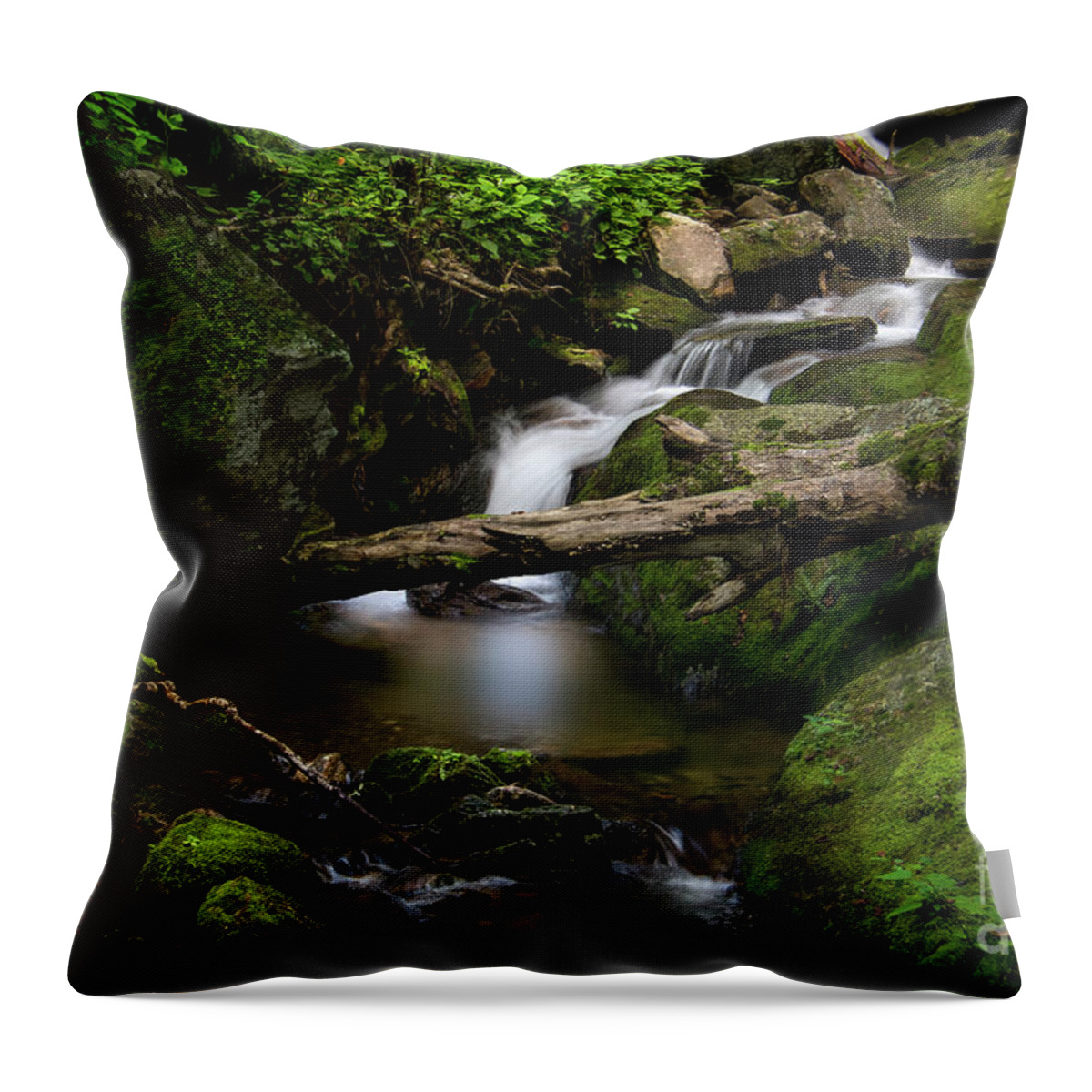 Cherokee Throw Pillow featuring the photograph My Appalachian Journey by Shelia Hunt