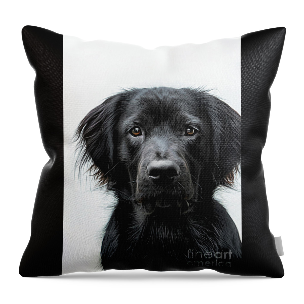Playful Throw Pillow featuring the photograph My Loyal Boykinador by Amy Dundon